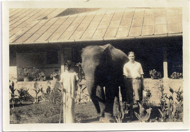 Dougal and the Baby Elephant Ceylon St Edmund Aug 1928